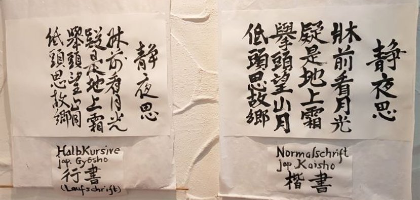 Japanische Schrift in Halbkursiv und in Normal. (Foto: Gemeinde Wachtberg/mf)